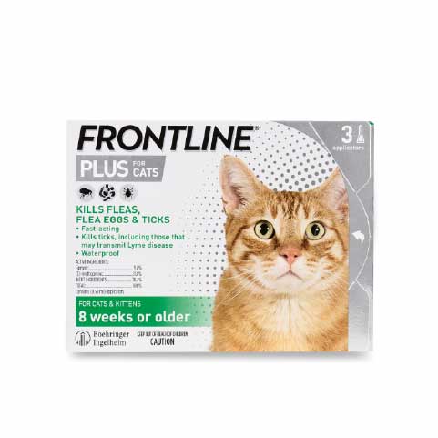 Frontline Plus cho mèo