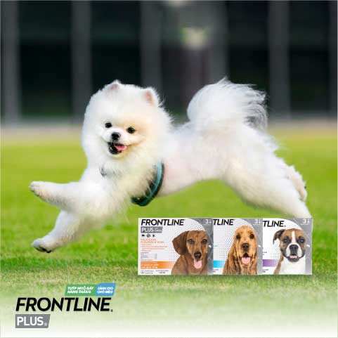 Frontline Plus Range