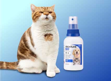 Frontline-Spray-For-Cat