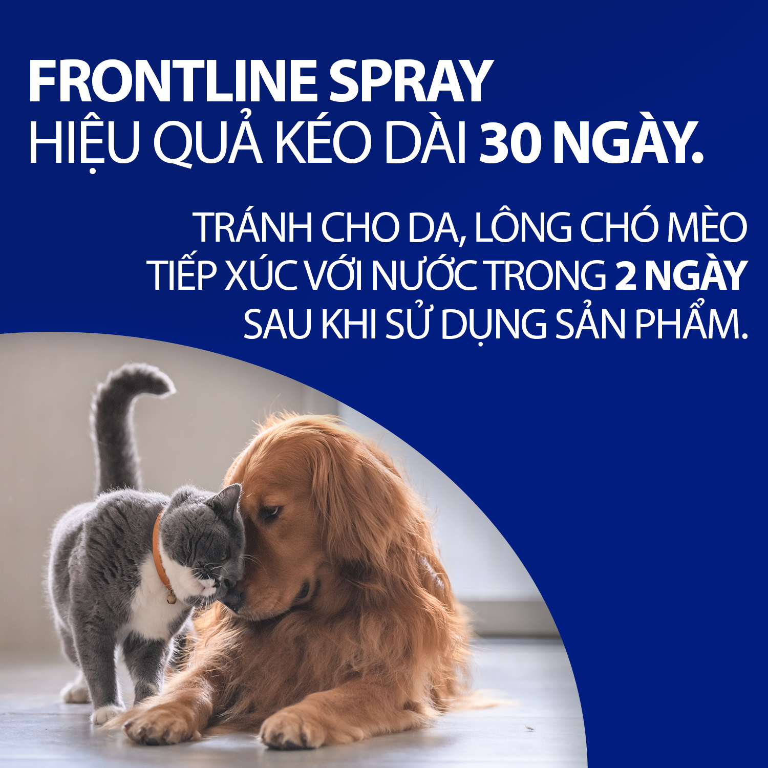 Frontline spray 30 days.png