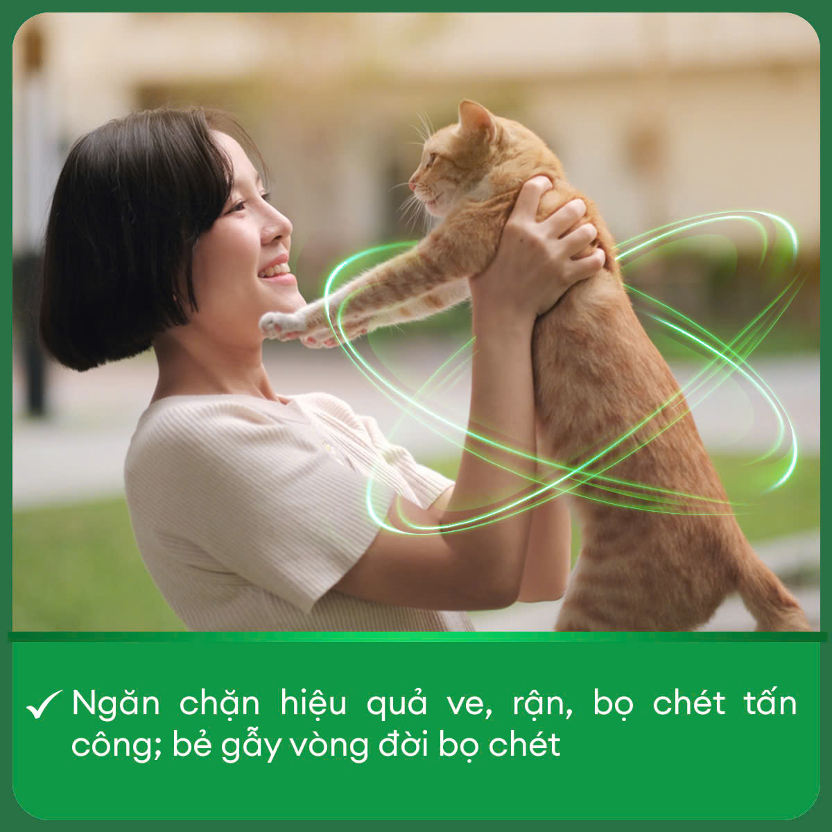 Frontline Cat cong dung.jpg